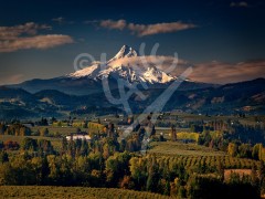 OREGON Mount Hood